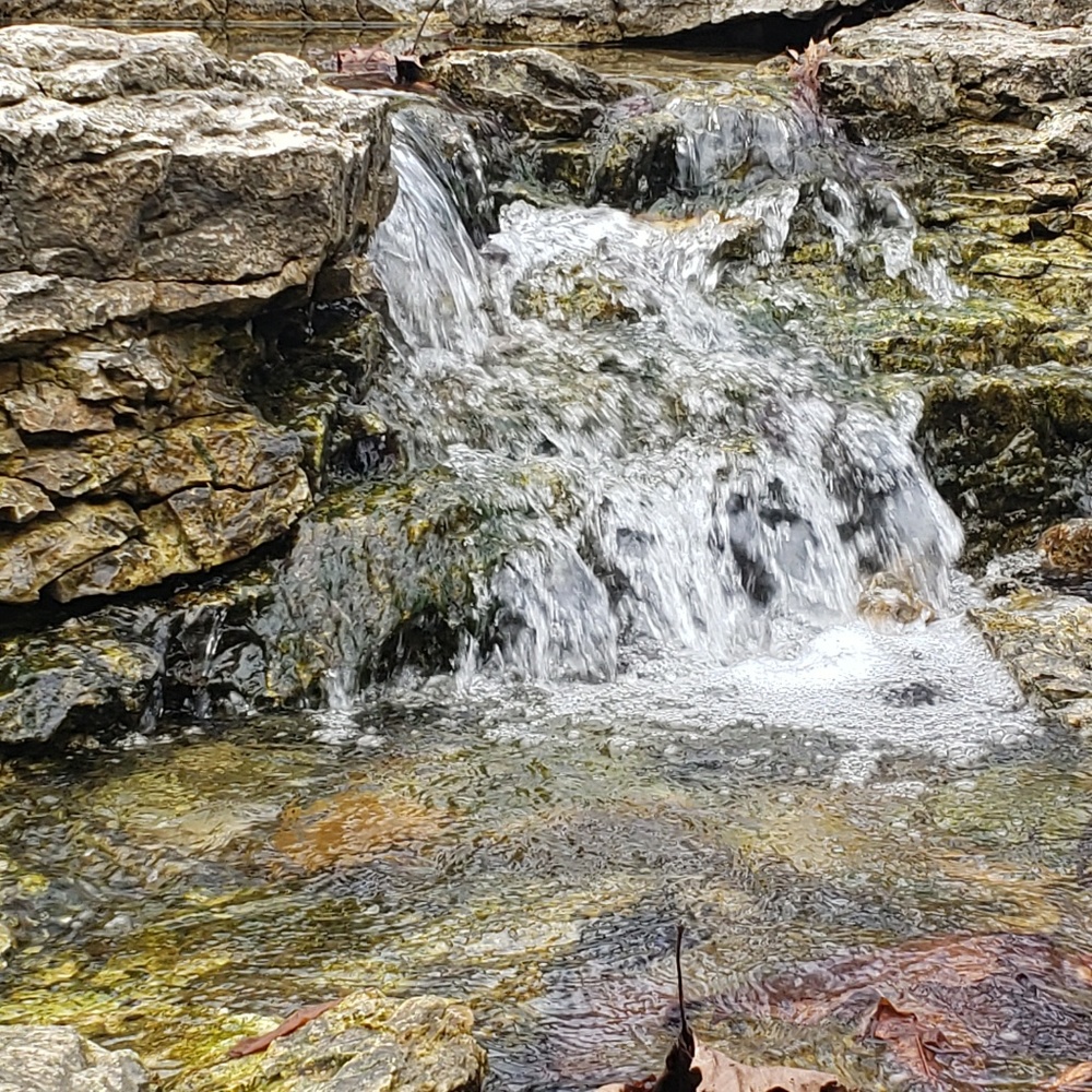 Meet your Posher, Nahomi